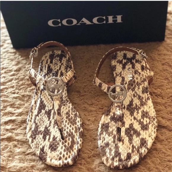 Coach Snake Print Sandals Size 7 NEW! - Picture 1 of 5